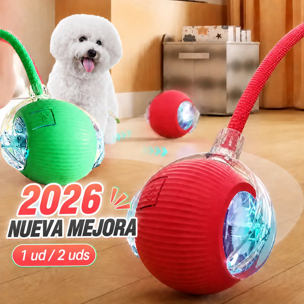S924da47a71ed4088ae1ec3a9b1c0bd787