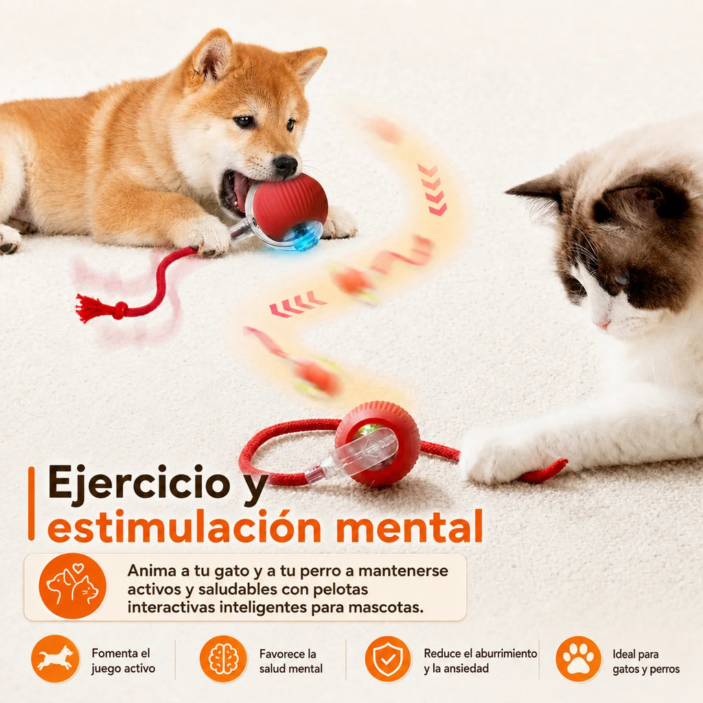 Sa981d2e357b64ae3b3a743a25ef875f5x